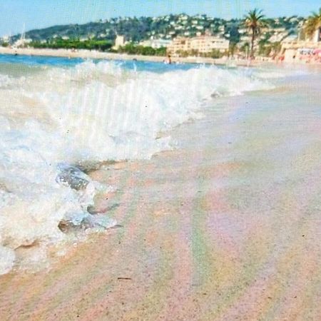 Residence De Vacances Avec Piscine & Transat, A 2 Minutes Des Plages - Bat N2 瓦洛里 外观 照片