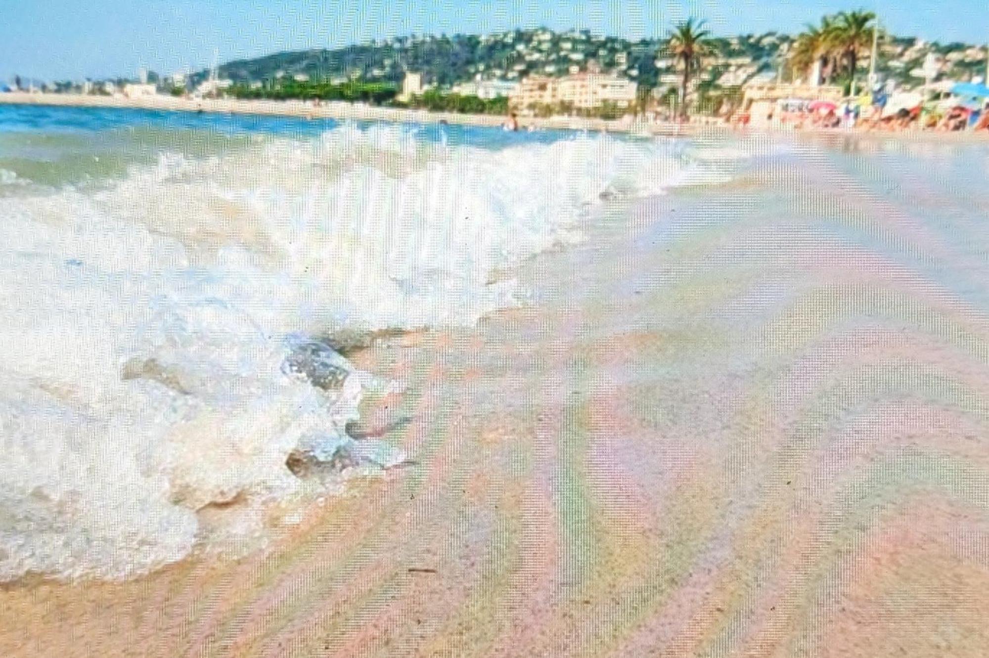 Residence De Vacances Avec Piscine & Transat, A 2 Minutes Des Plages - Bat N2 瓦洛里 外观 照片